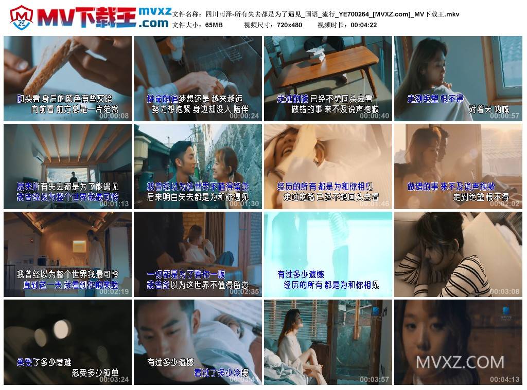 四川雨泽-所有失去都是为了遇见_国语_流行_YE700264